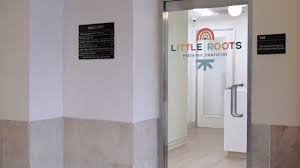 Little Roots Pediatric Dentistry
